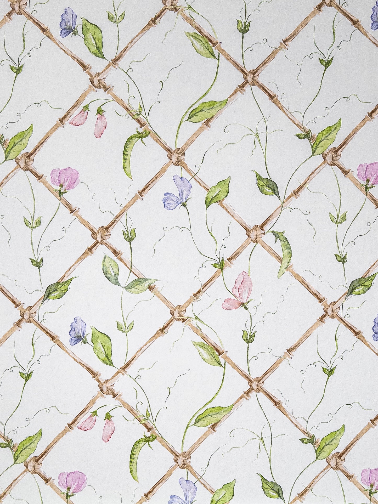 "Sweet Peas on Bamboo Trellis" - Wallpaper by Alice Crawley
