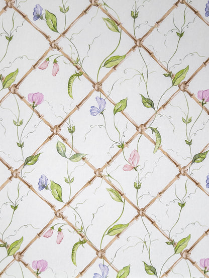 "Sweet Peas on Bamboo Trellis" - Wallpaper by Alice Crawley